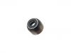 Dichtring, Ventilschaft Valve Stem Seal:12210-PZ1-004